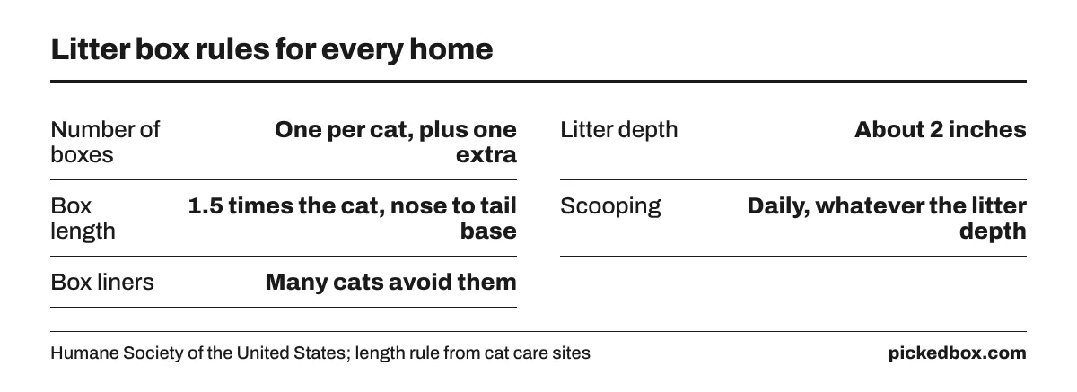 Fact board of box rules: one box per cat plus one extra, about 2 inches of litter, a box 1.5 times the cat's length, daily scooping, and many cats avoid liners.