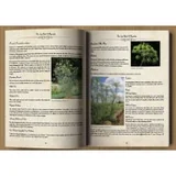 Lost Book of Remedies