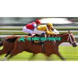 The Horse Race Predictor